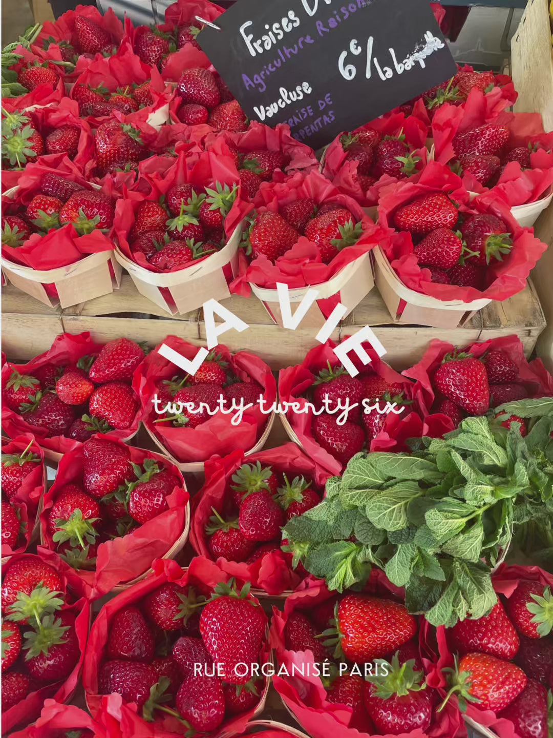 Load video: Fraise Bisous -  2026 Everything Personal Planner